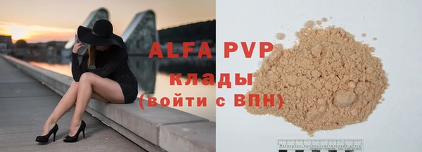 ПСИЛОЦИБИНОВЫЕ ГРИБЫ Карпинск