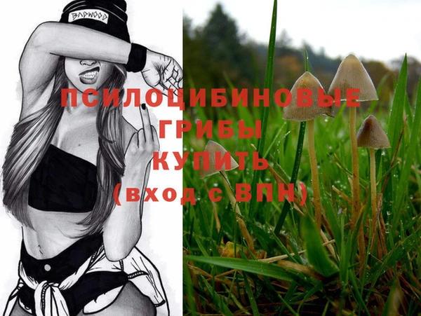 не бодяженный Карталы