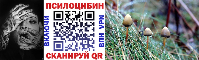 наркошоп  Каменск-Уральский  blacksprut рабочий сайт  Галлюциногенные грибы Psilocybine cubensis 