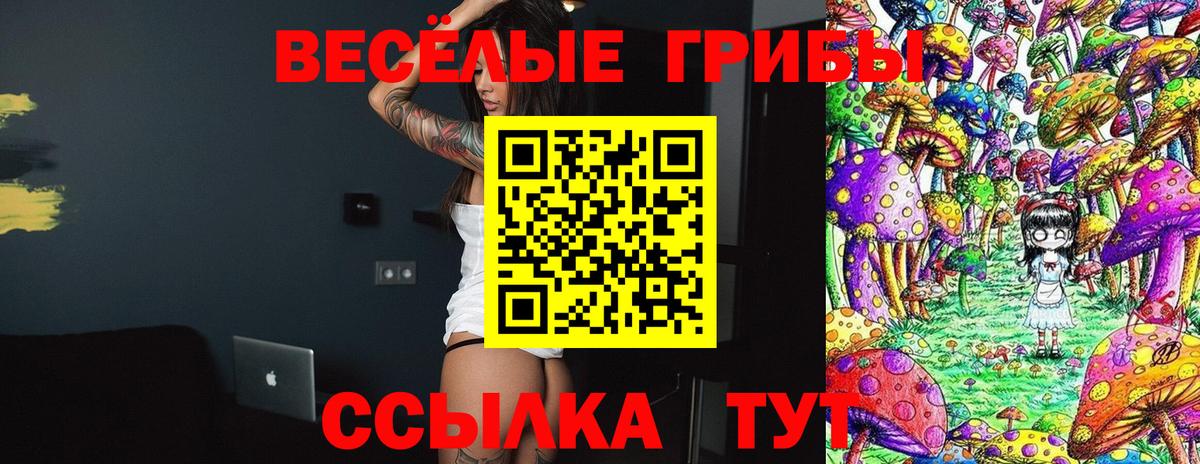 Галлюциногенные грибы Magic Shrooms  Галлюциногенные грибы Psilocybe  Вход с VPN  Каменск-Уральский 