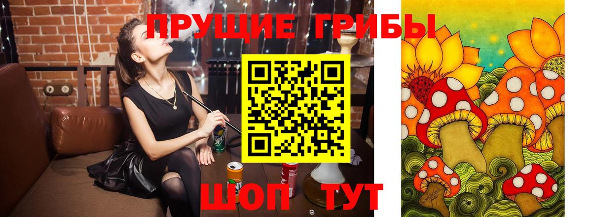 Галлюциногенные грибы Psilocybine cubensis Каменск-Уральский